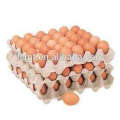 Custom 30 holes of the paper egg tray with best price